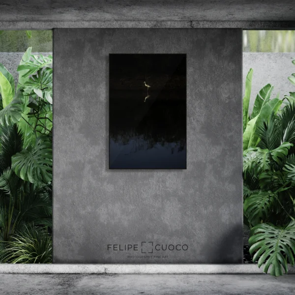 Quadro Fine Art - Garça-moura refletida no silêncio do rio - Image 2