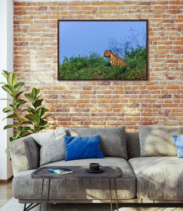 Quadro Fine Art –  Soberana do Pantanal - Image 2