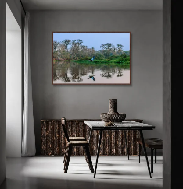 Quadro Fine Art - Voo Silencioso no Espelho das Águas - Image 2