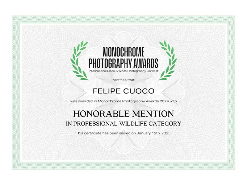 CERTIFICADO