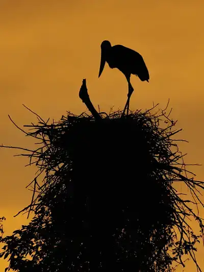 Quadro Fine Art – Guardian of the Sunset