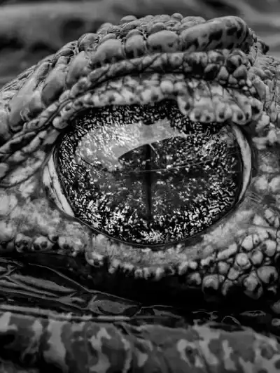 Quadro Fine Art – Eye of the Ancient Waters