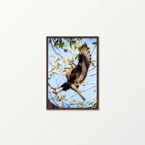 Quadro Fine Art – A Graça do Pouso