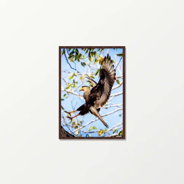 Quadro Fine Art – A Graça do Pouso
