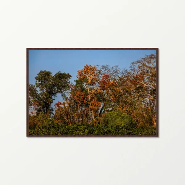 Quadro Fine Art - Paleta de Outono no Pantanal