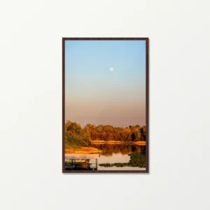 Quadro Fine Art - Lua ao Amanhecer no Pantanal