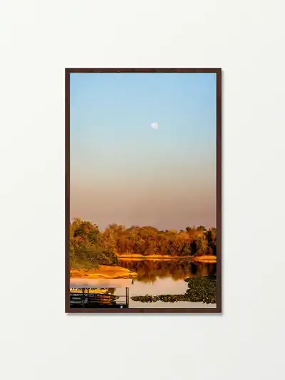 Quadro Fine Art - Lua ao Amanhecer no Pantanal