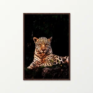 Quadro Fine Art – Majestade Selvagem