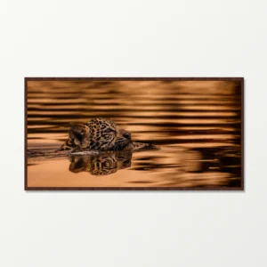 Quadro Fine Art - Sobrevivência Dourada - Wide