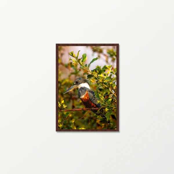 Quadro Fine Art – Vigilante do Riacho