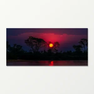 Quadro Fine Art –  Crepúsculo Pantaneiro - Wide
