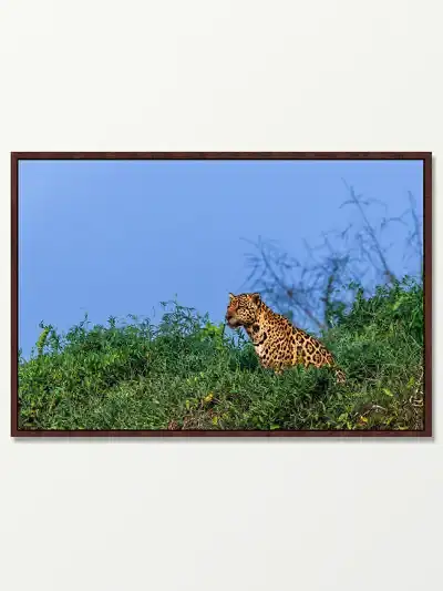 Quadro Fine Art – Soberana do Pantanal