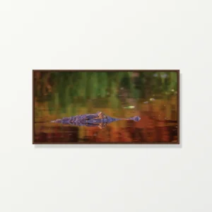 Quadro Fine Art –  O Silêncio do Predador
