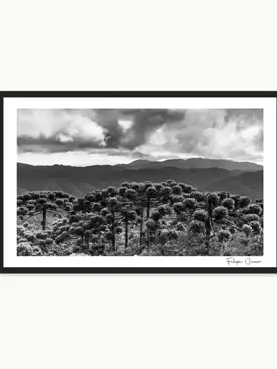Quadro Fine Art – Guardião das Alturas