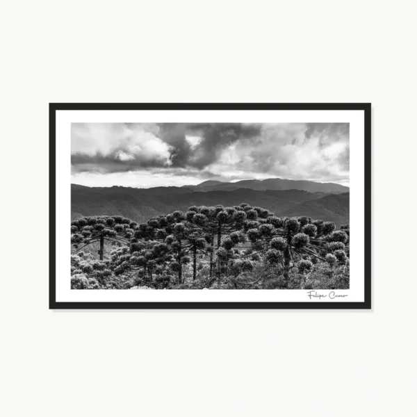 Quadro Fine Art –  Guardião das Alturas