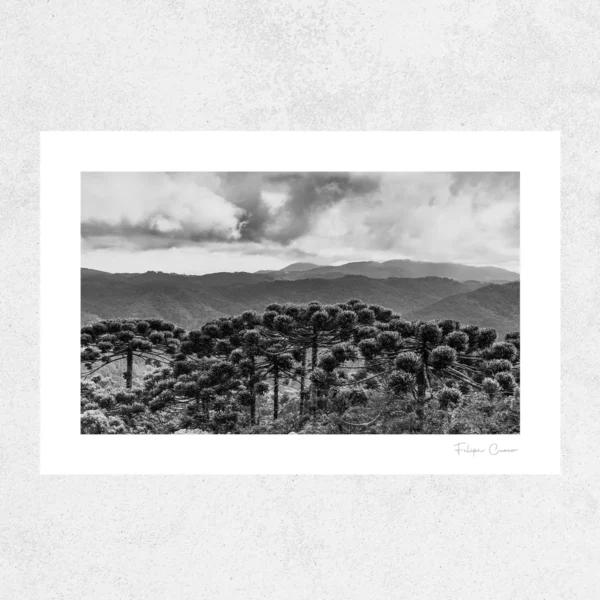 Quadro Fine Art –  Guardião das Alturas - Imagem 2