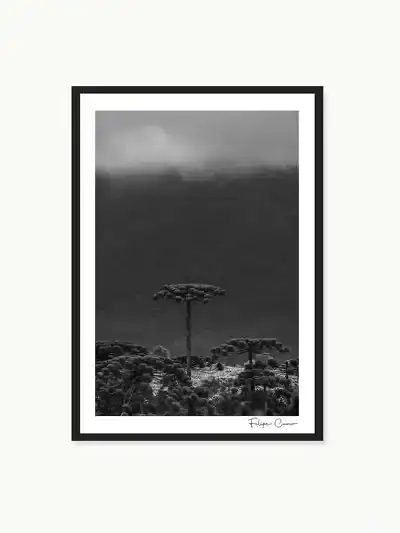 Quadro Fine Art – O Último da Serra