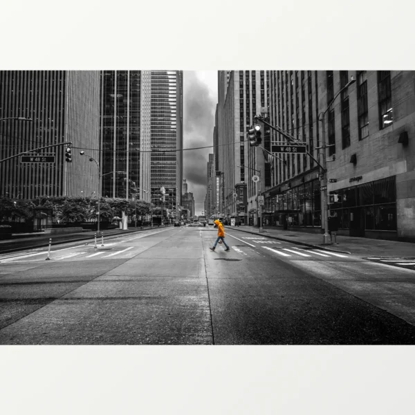 Quadro Fine Art – The Last Step - Imagem 2