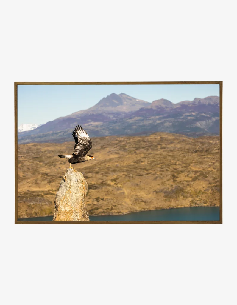 Quadro Fine Art – Edge of the Wind - Imagem 2