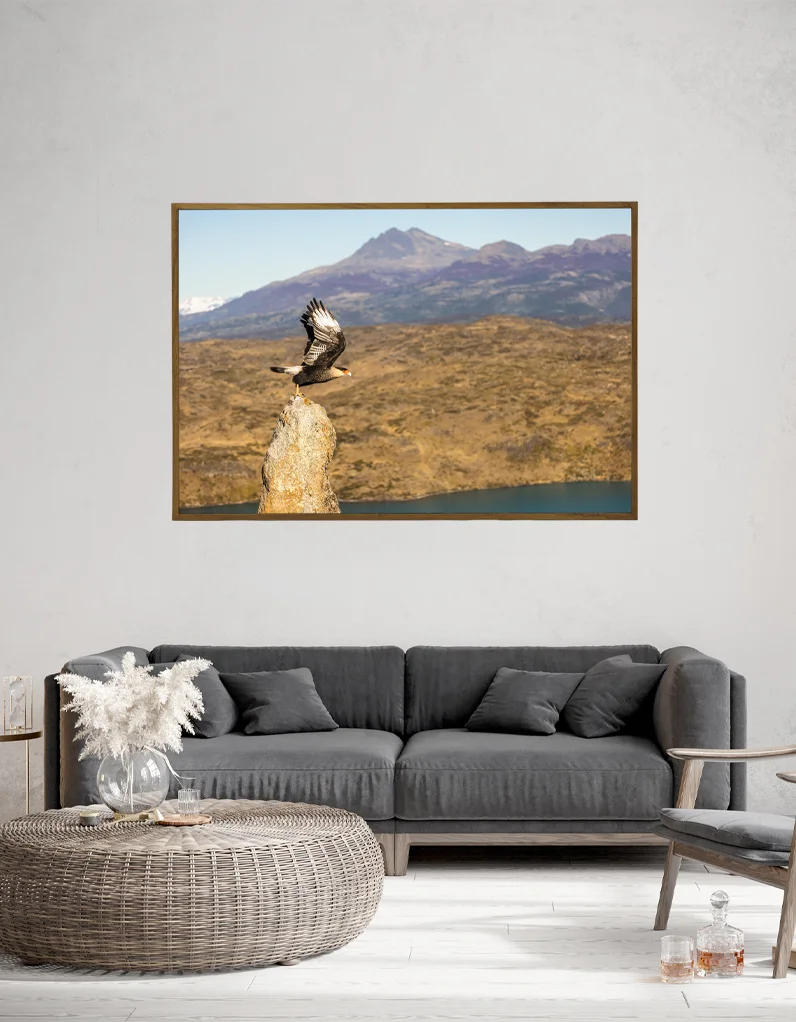 Quadro Fine Art – Edge of the Wind - Imagem 3