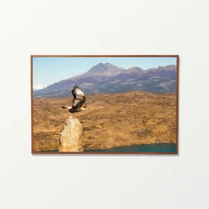 Quadro Fine Art –  Edge of the Wind
