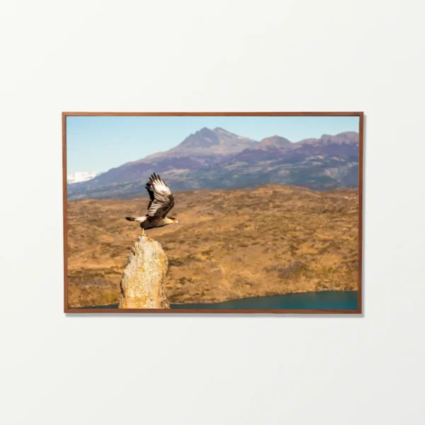Quadro Fine Art –  Edge of the Wind