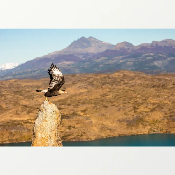 Quadro Fine Art –  Edge of the Wind - Imagem 2