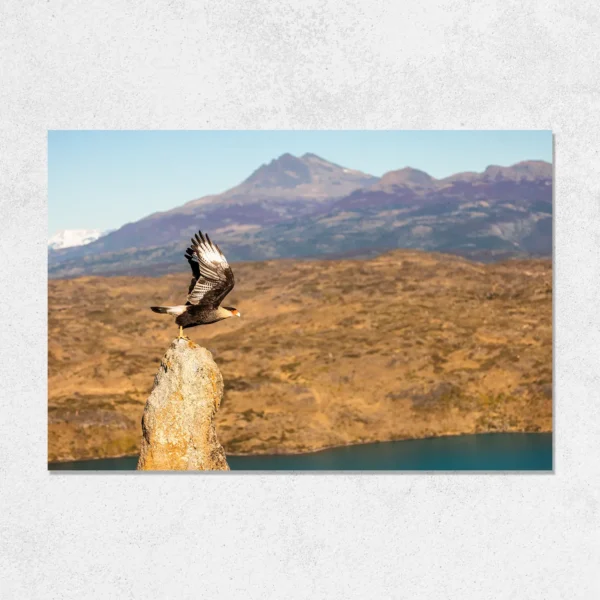 Quadro Fine Art –  Edge of the Wind - Imagem 4