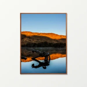 Quadro Fine Art –  Moonlight Reflection