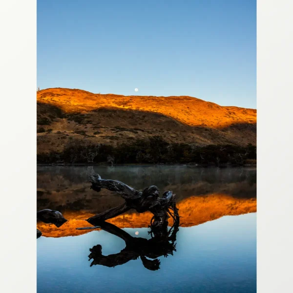 Quadro Fine Art –  Moonlight Reflection - Imagem 2