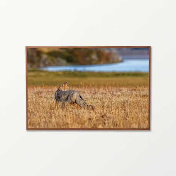 Quadro Fine Art –  Silence Pursuit