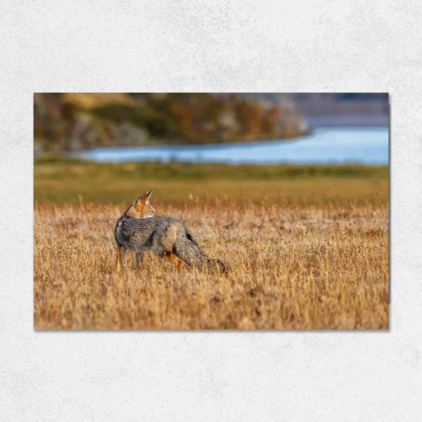 Quadro Fine Art –  Silence Pursuit - Imagem 2