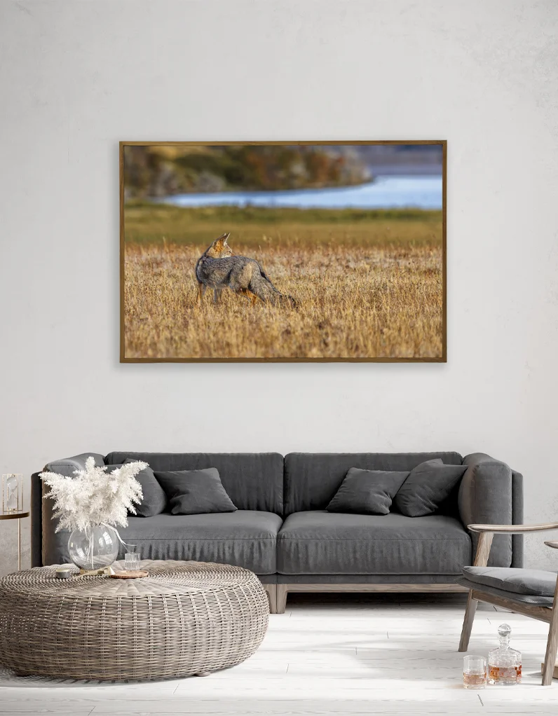 Quadro Fine Art – Silence Pursuit - Imagem 3