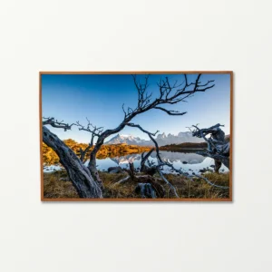 Quadro Fine Art –  The Crossing