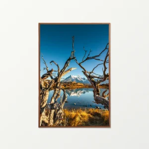 Quadro Fine Art –  Window of Time