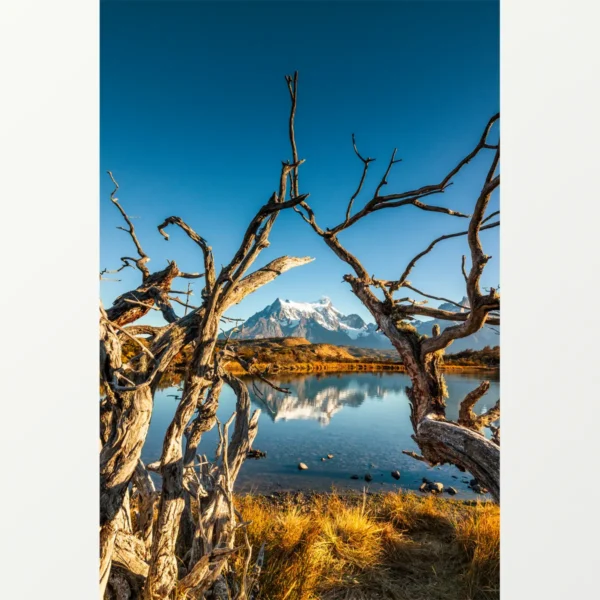 Quadro Fine Art –  Window of Time - Imagem 2
