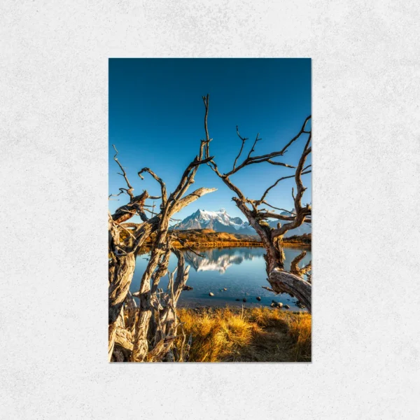 Quadro Fine Art –  Window of Time - Imagem 5