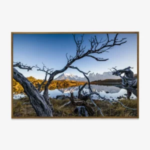 Quadro Fine Art – The Crossing