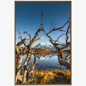 Quadro Fine Art – Window of Time