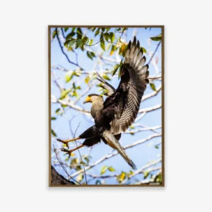 Quadro Fine Art – A Graça do Pouso