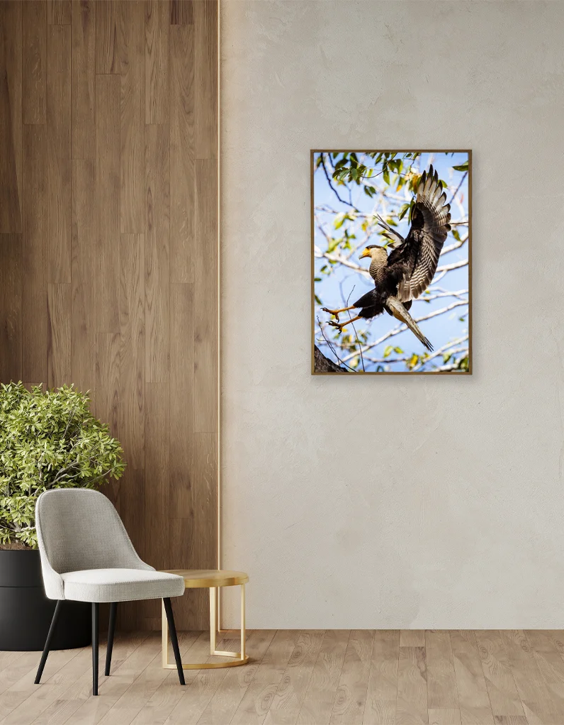 Quadro Fine Art – A Graça do Pouso - Imagem 3