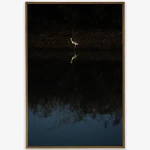Quadro Fine Art - Silent of River