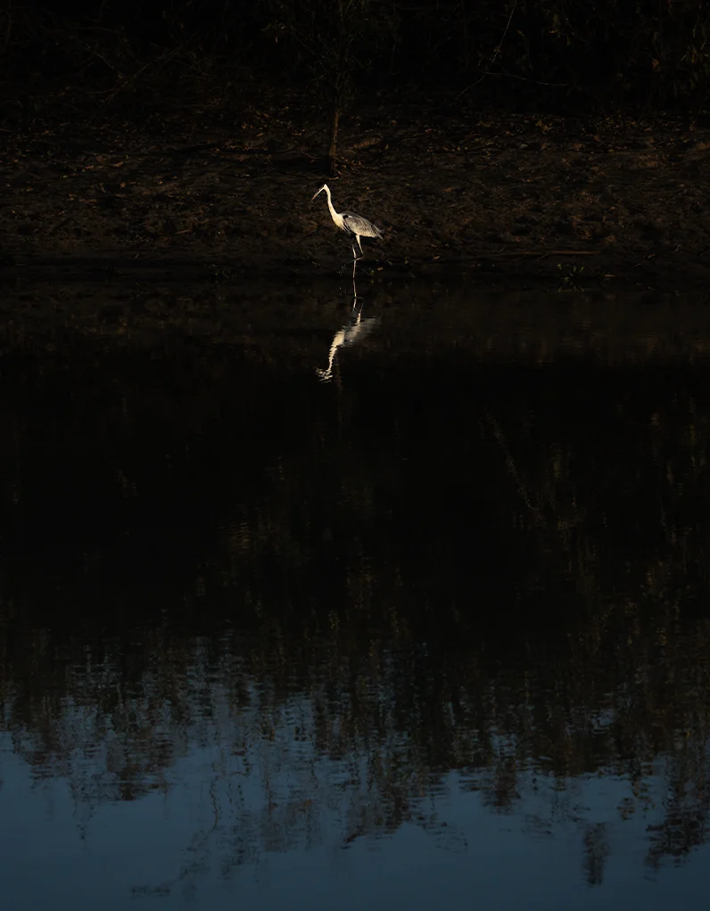 Quadro Fine Art - Silent of River - Imagem 2