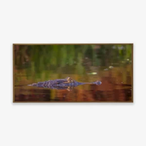 Quadro Fine Art – O Silêncio do Predador