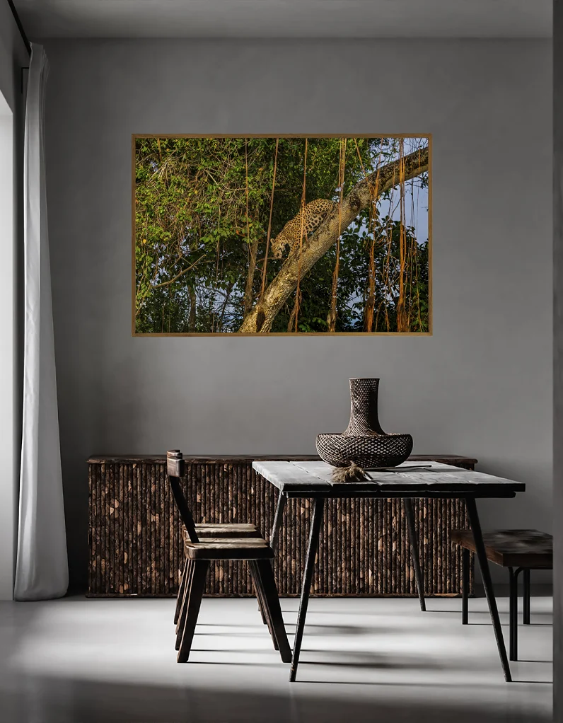 Quadro Fine Art – Learning the Wild - Imagem 3
