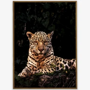 Quadro Fine Art – Majestade Selvagem
