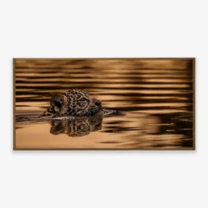 Quadro Fine Art - Sobrevivência Dourada