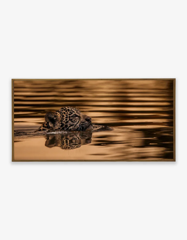 Quadro Fine Art - Sobrevivência Dourada