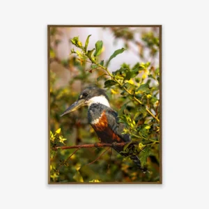 Quadro Fine Art – Vigilante do Riacho