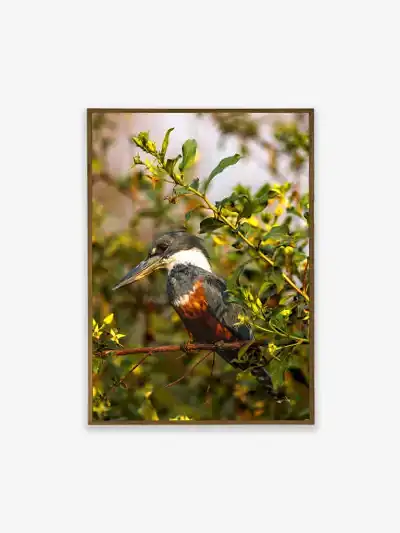 Quadro Fine Art – Vigilante do Riacho